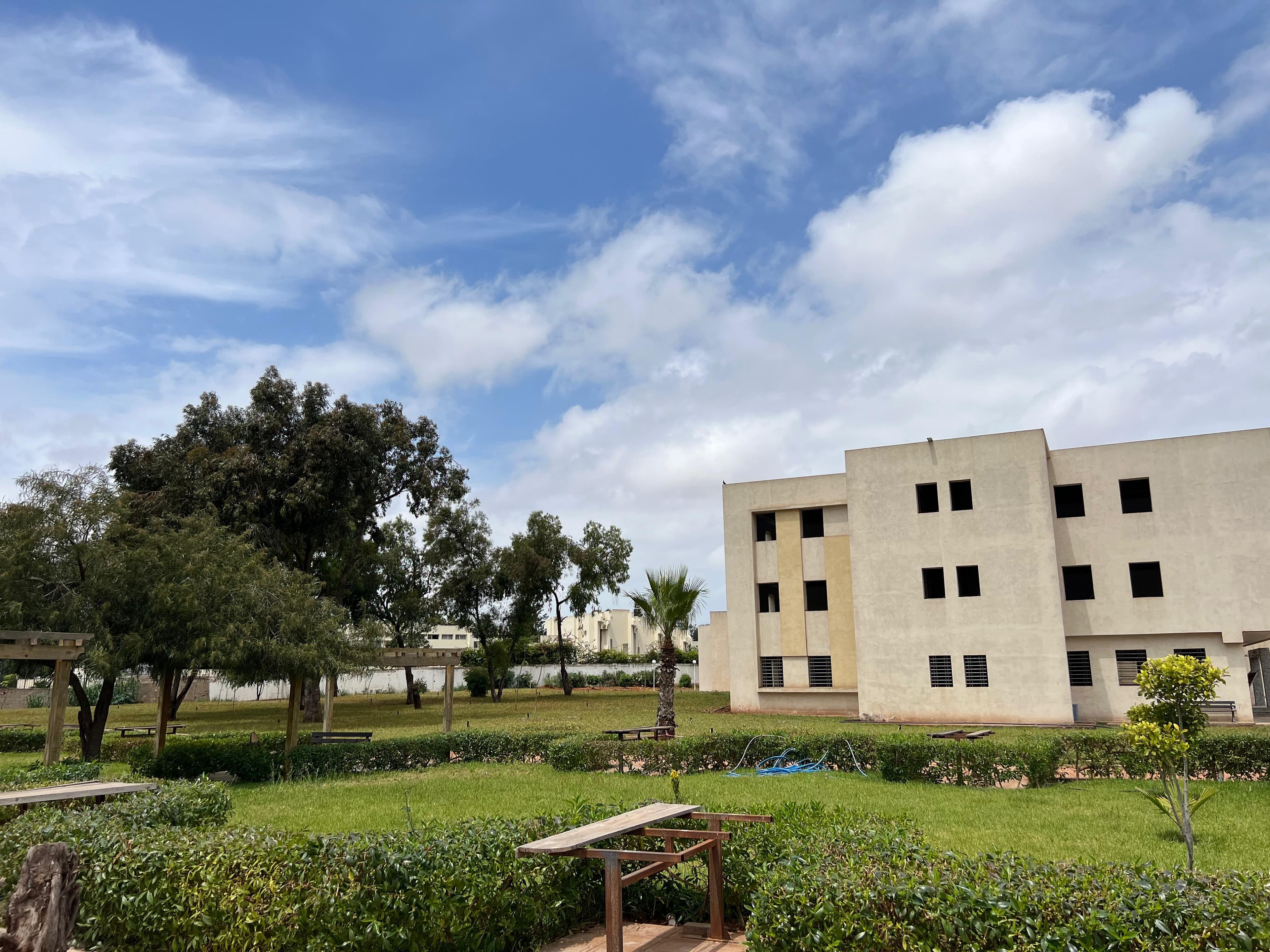 Tree-lined walkway through the green spaces of the ENSEM campus.